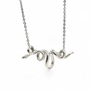Wrap Around Silver Snake Necklace